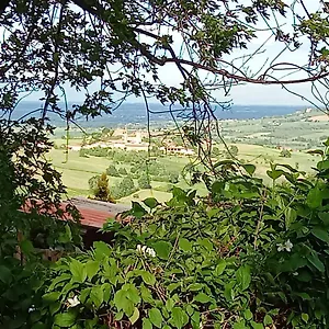  Appartamento Casa Morelli